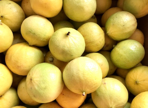 bergamotto biologico