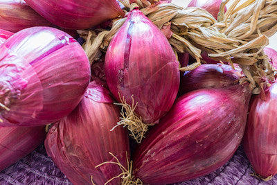 Cipolla rossa di Tropea: coltivazione, proprietà e ricette