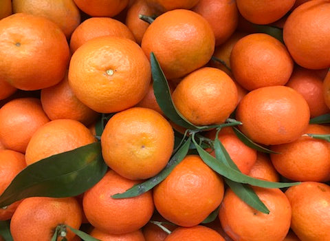 mandarini clementine biologici