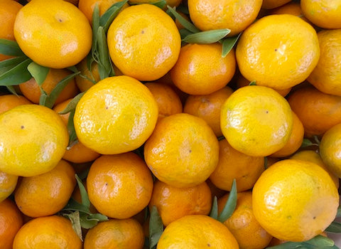 mandarini tardivi di ciaculli biologici