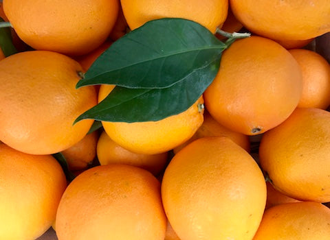 Organic Valencia Oranges