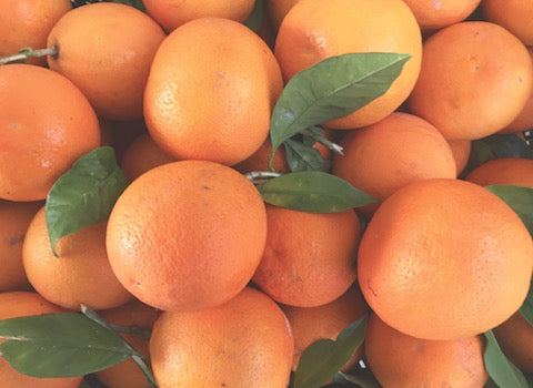 arance tarocco biologiche non trattate
